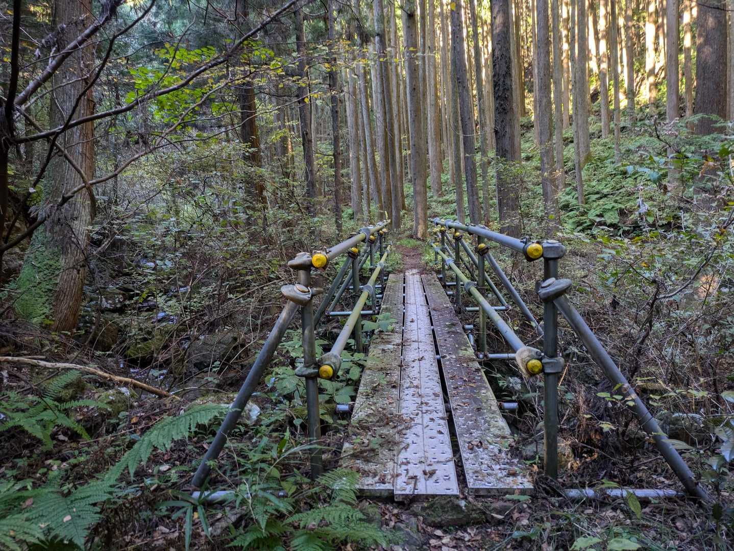 正丸駅-旧正丸峠-正丸山-正丸峠-伊豆ヶ岳登山口-伊豆ヶ岳 周回コースの写真
