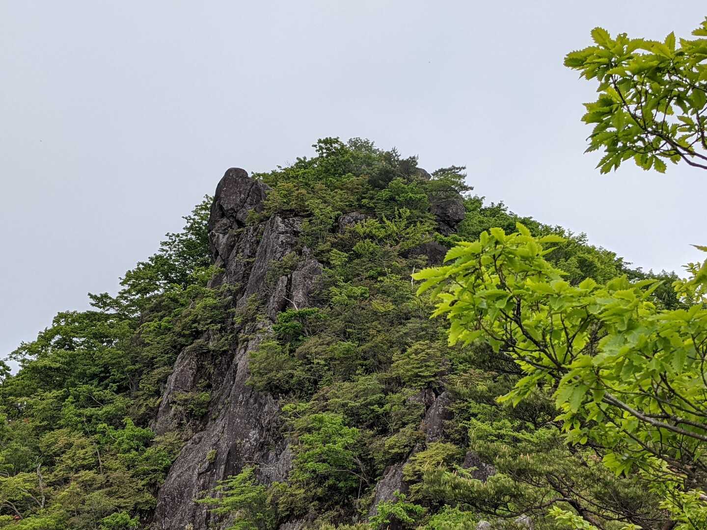 子持山の写真
