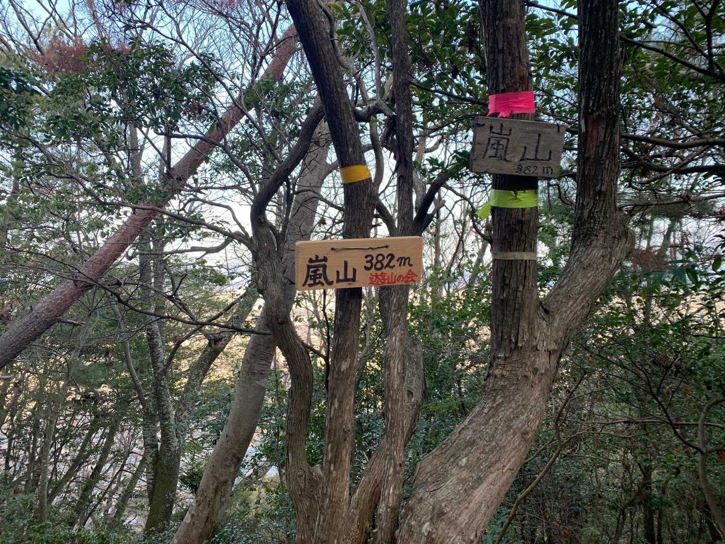 本当の嵐山