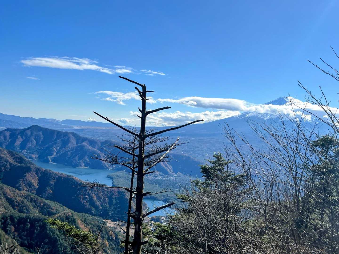 西湖と富士山🗻
ひゅ〜‼️😻