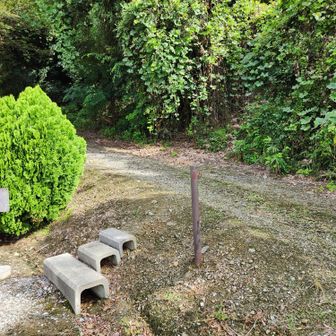 宇賀神社そばの登山道入り口です