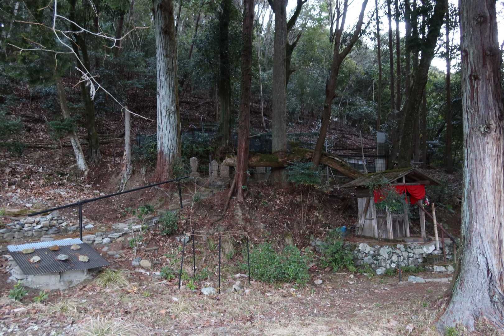 聞き覚えのある鳴き声&我先にと逃げて行く鹿🦌‥北では当たり前の光景ですか？