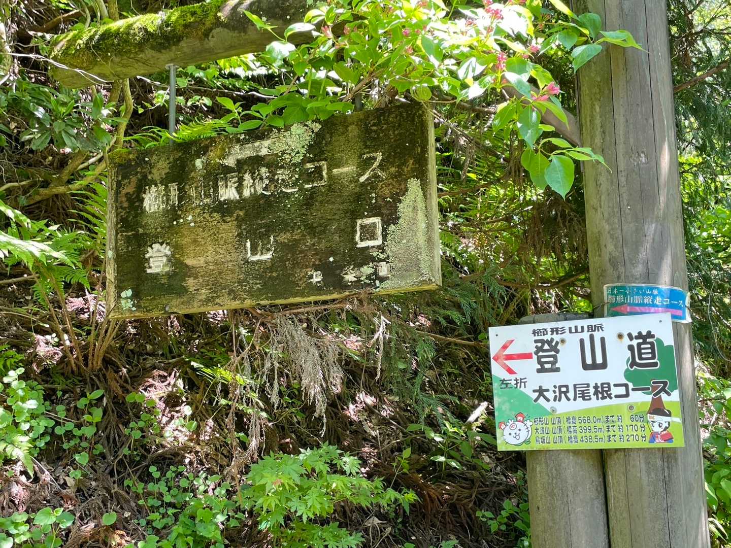 7分ほど歩いて…こちらから登山スタート！
急登です💦