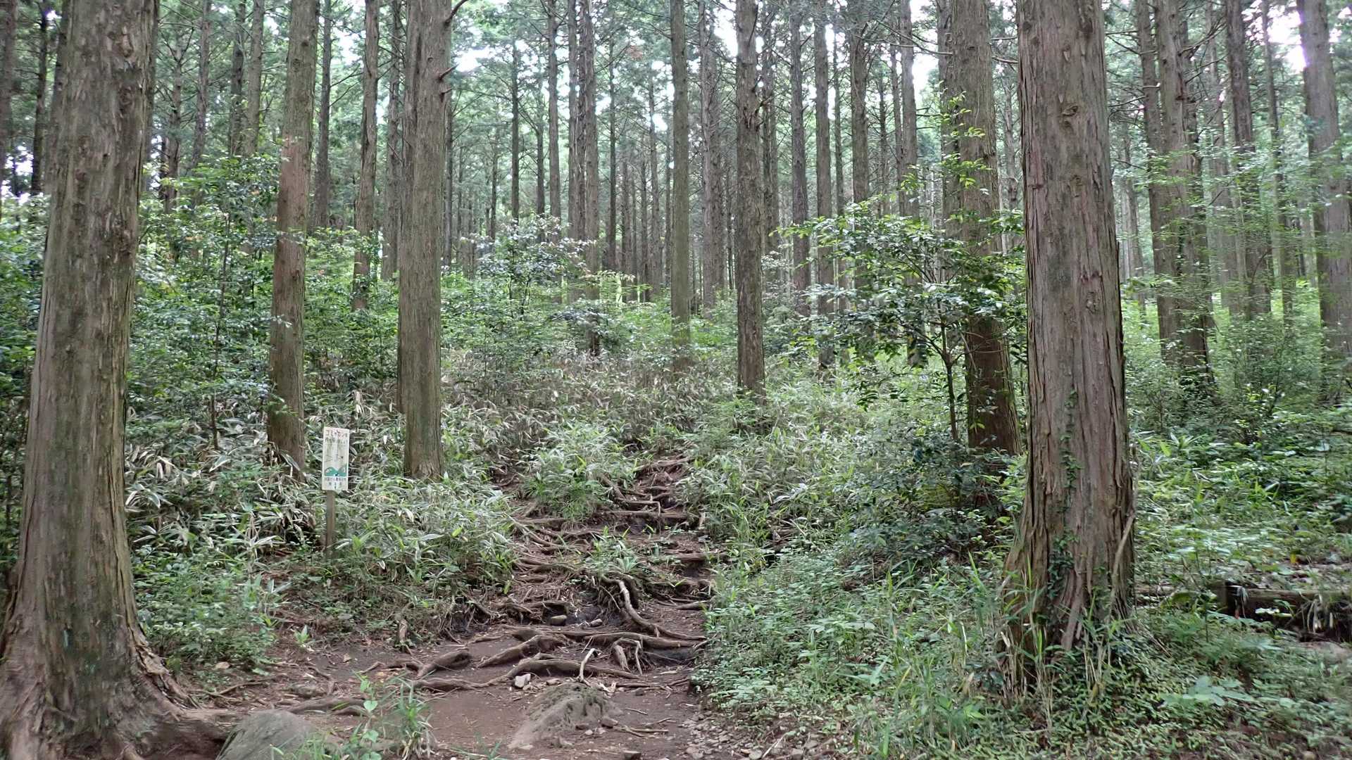 伏石登山口から鞍岳・ツームシ山へ出発😀