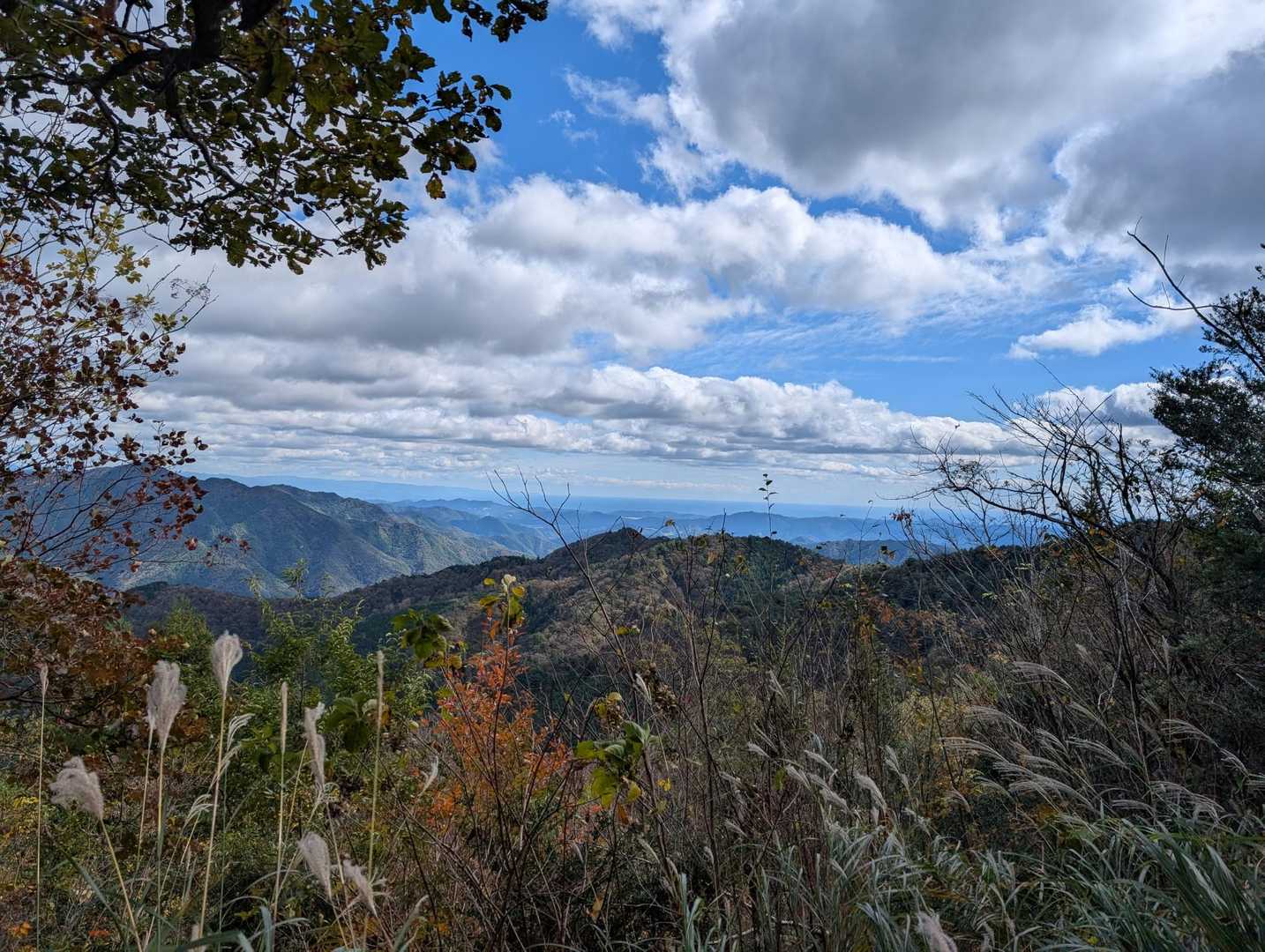 五在所山 周回コースの写真