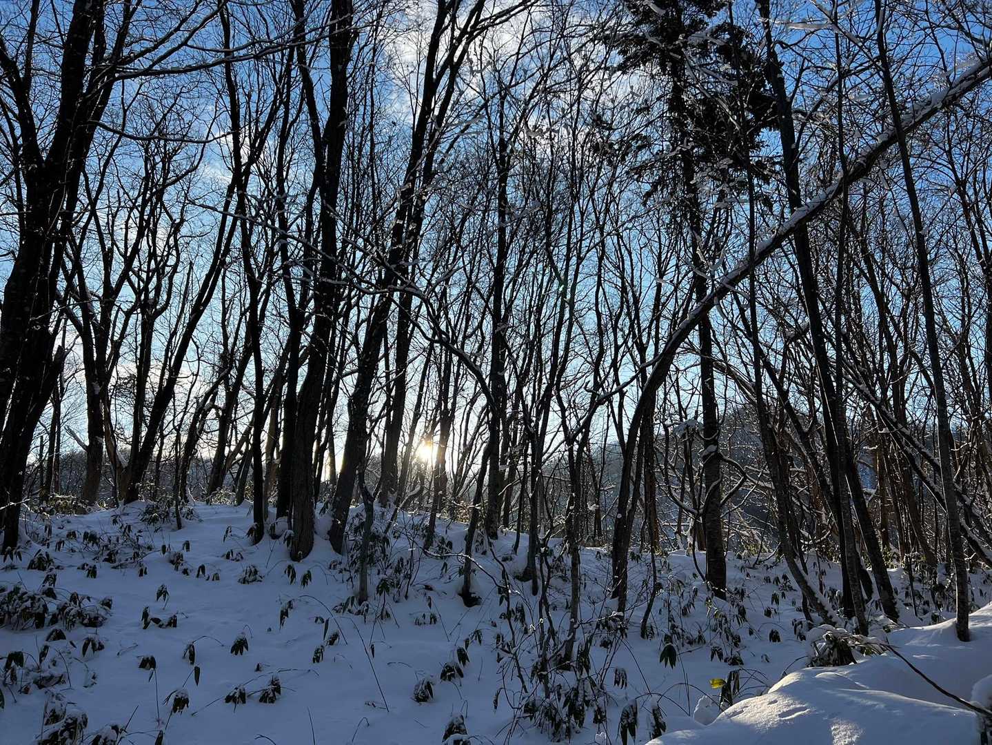 振り向けば君がいる　前向けば友がいる