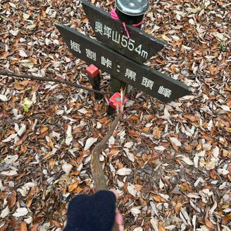 そこから登り返して…奥坪山ピーク⛰️

ユ◯たまがここをピークハントしてなかった意味が良〜く分かりました〜♡🤭