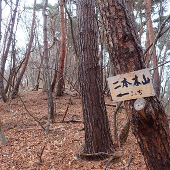 二本木山への案内