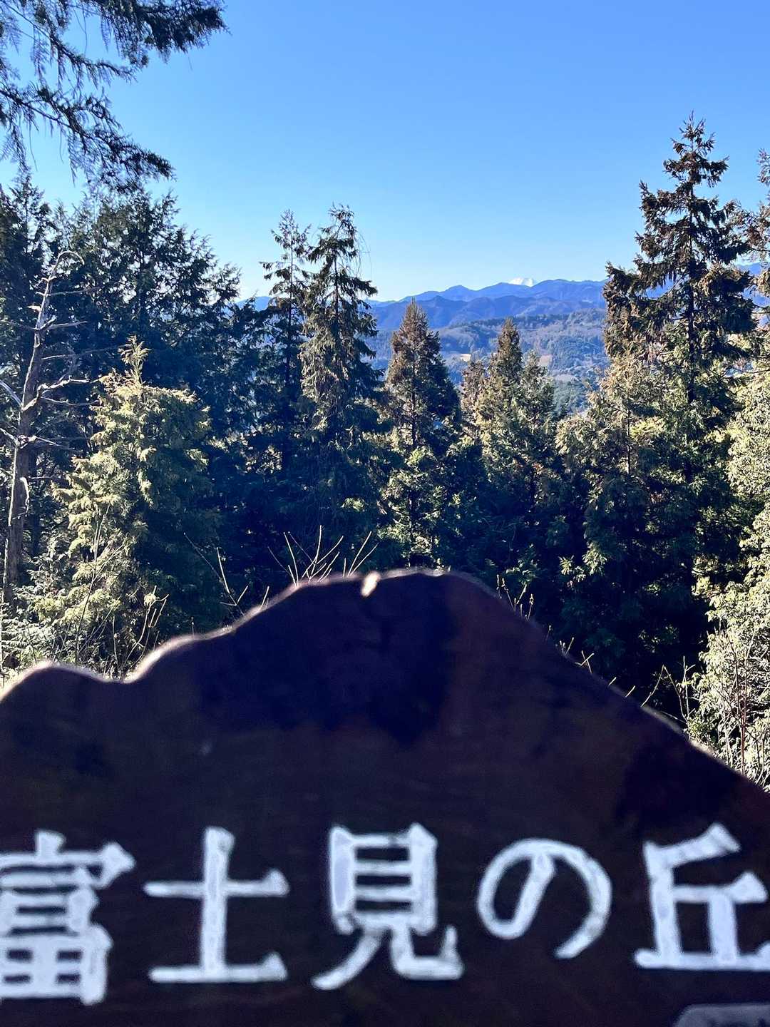富士見の丘
見えたー❗️富士山🏔️🏔️