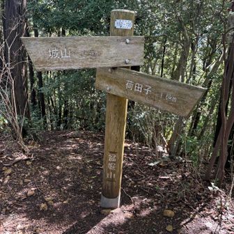 盆堀山登頂〜