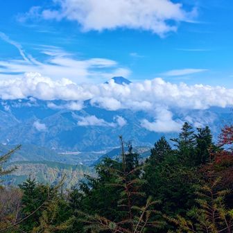 富士山が少し見えた。
