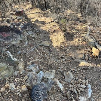 さて、ザレザレとの格闘始まりです。