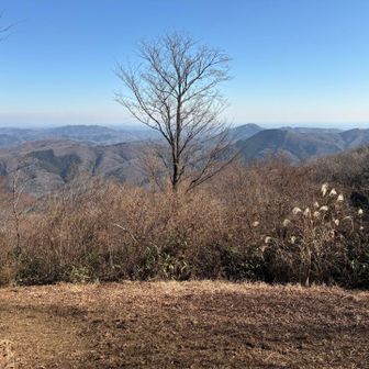 人は結構居るけれど…w
ﾍﾞﾝﾁを確保でﾊﾟｸﾊﾟｸﾀｲﾑw