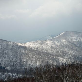 佐幌岳は登りきらずに、途中から桜山方面へトラバースしました。
トラバースした林内は、雪崩の心配は無さそうですが、ズボズボて地味に疲れました。