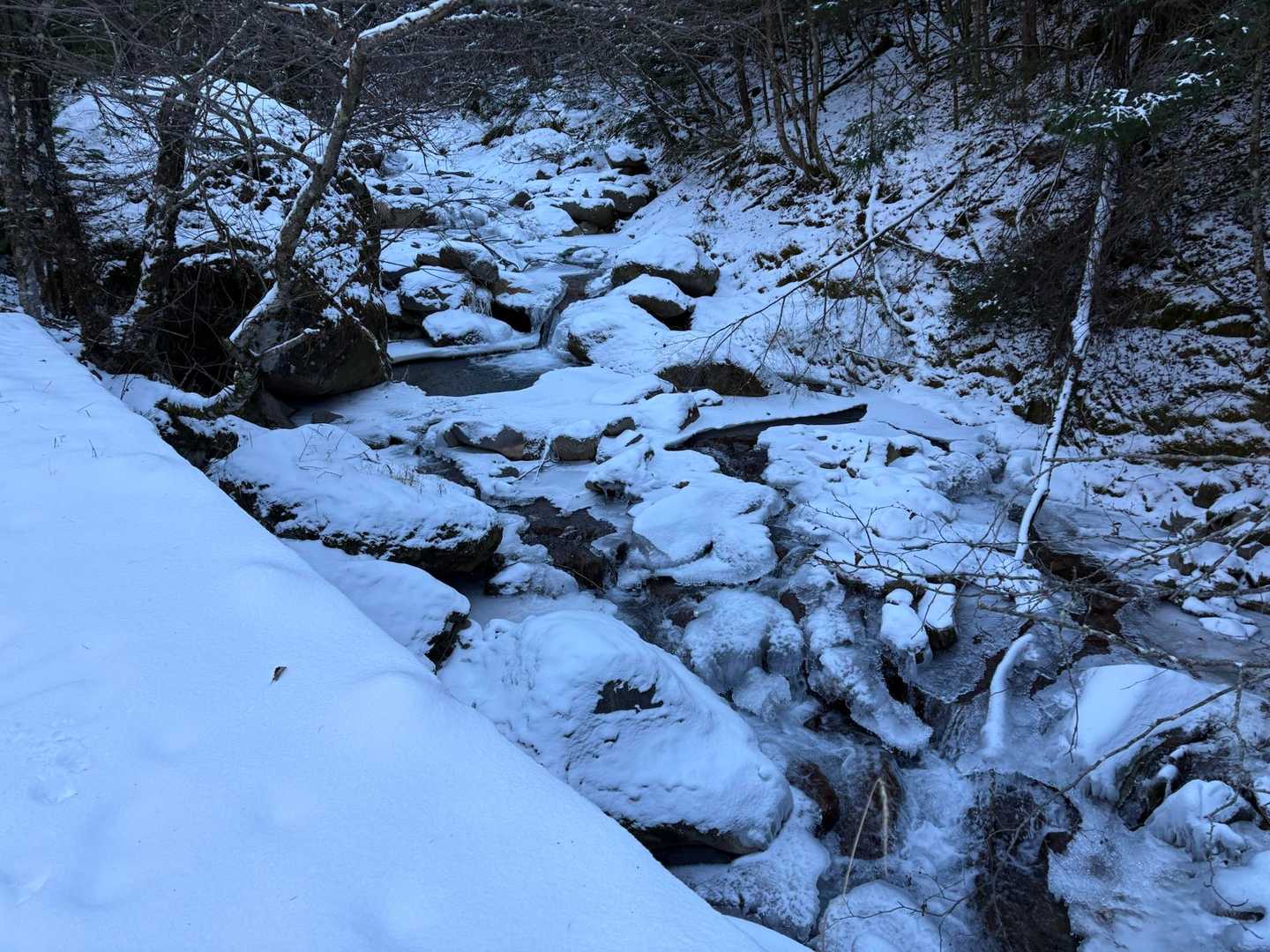 美濃戸登山口-堰堤広場 往復コースの写真