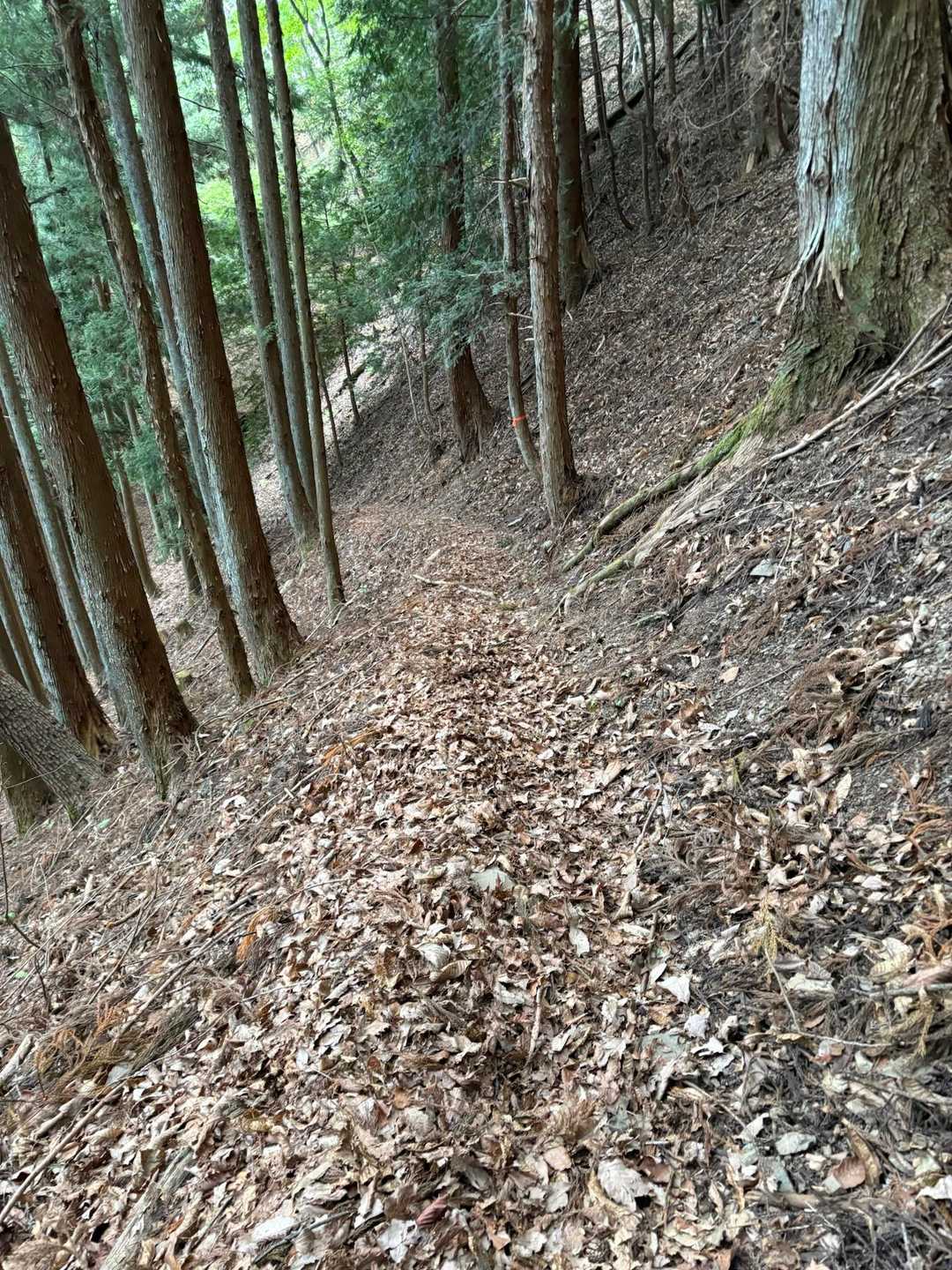 最後まで慎重に降る