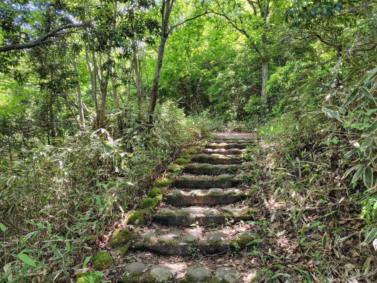 丸い石を並べて固定した階段も有る