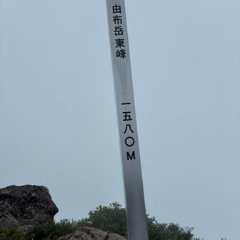 山頂は霧で景色が見え無くて残念だった😢