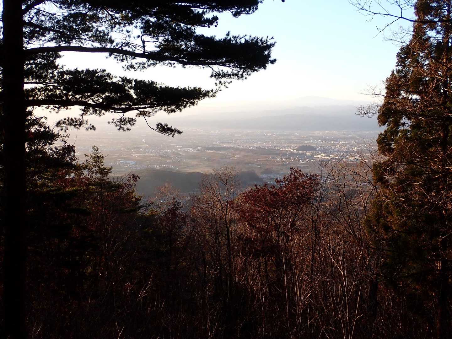 水晶山 往復コースの写真