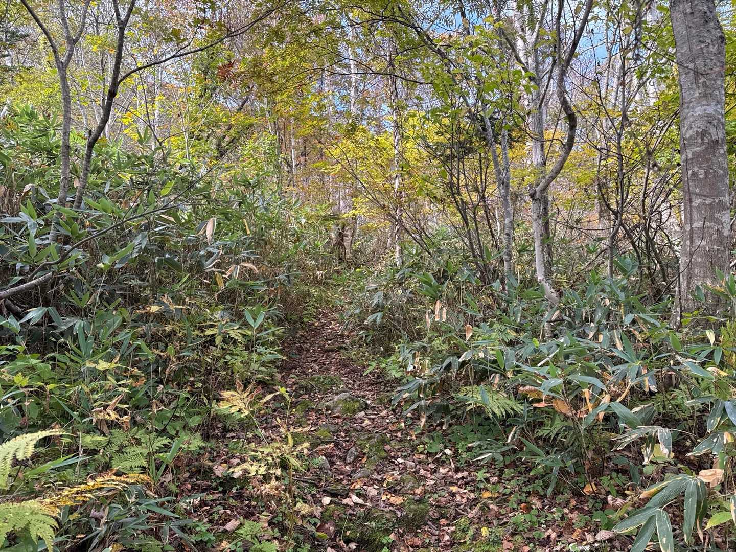 まだ山頂までの道は長い？