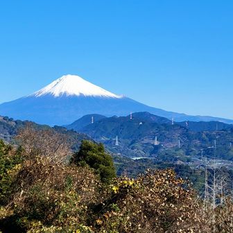 富士山もしっかり見える🗻