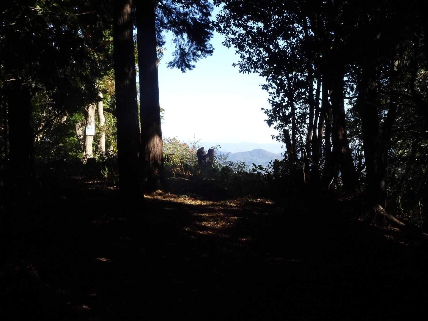 水晶山山頂