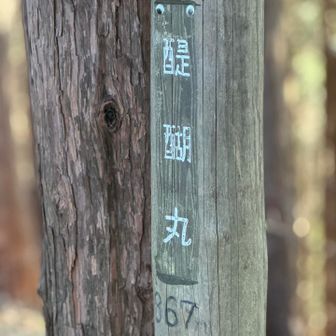 前回は通らなかった醍醐丸