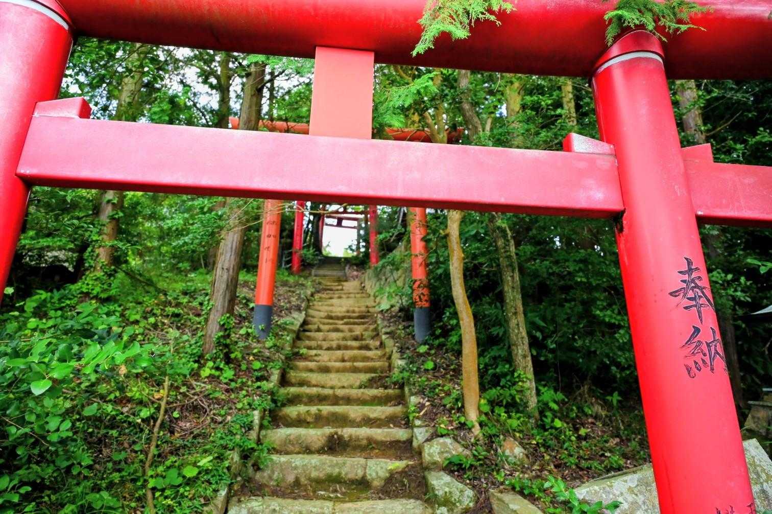 間違ってここの鳥居を登って袋小路（泣）