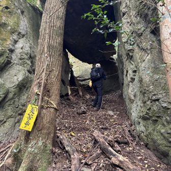 どんどん登ってく。