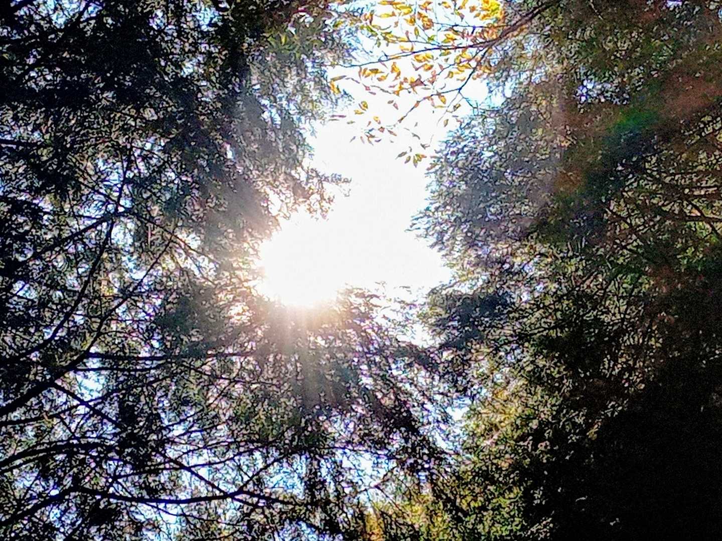 🌤