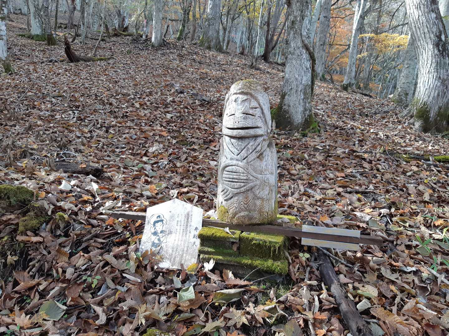 葛老山登山口-葛老山 往復コースの写真