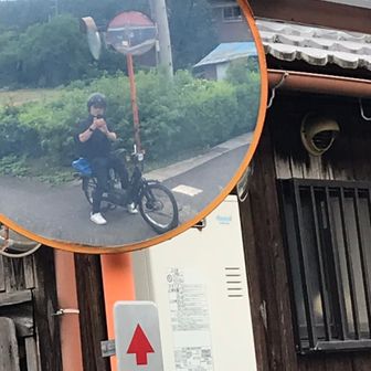 けんけん
