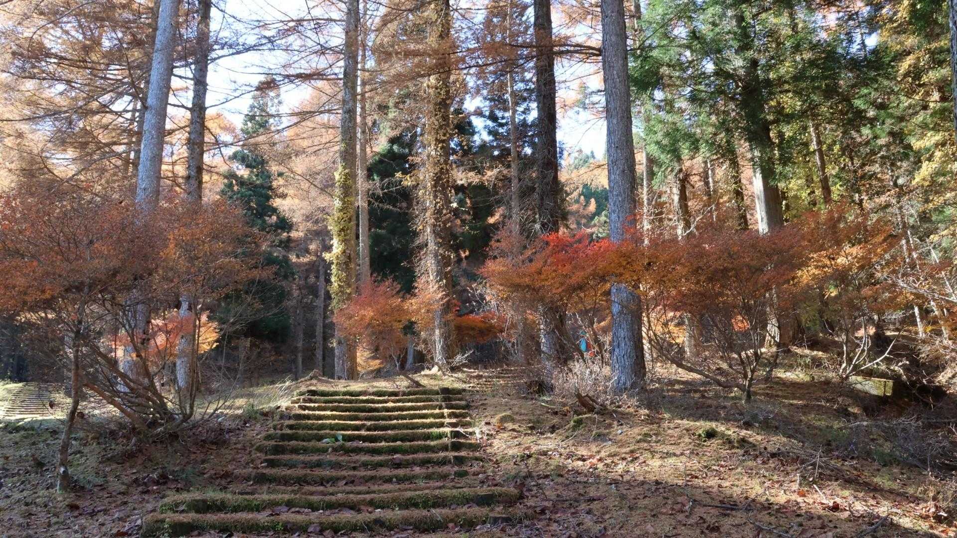 風呂塔-火打山 周回コースの写真