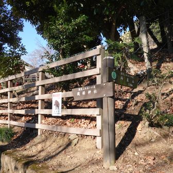 神社の奥に登山口