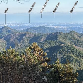 スマホアプリ「AR山ナビ -日本の山16000-アプリ」で子ノ権現の奥の院から見た景色。東京ディズニーランドのビッグサンダーマウンテンが表示されていて、開発者のユーモアにほっこり。