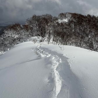 今日は、雪が重たくない
歩きやすい良い雪質です🎶