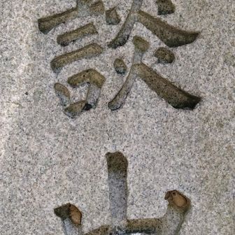 以上
談山神社からの紫陽花リポートでした