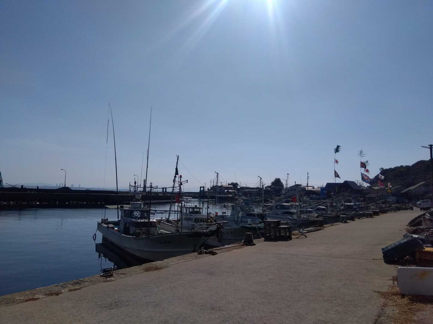 港、きれいな海をブルーの魚が泳いでいました