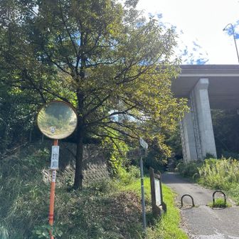 本日も堪能しましたぁ　バテバテバテバテでした笑