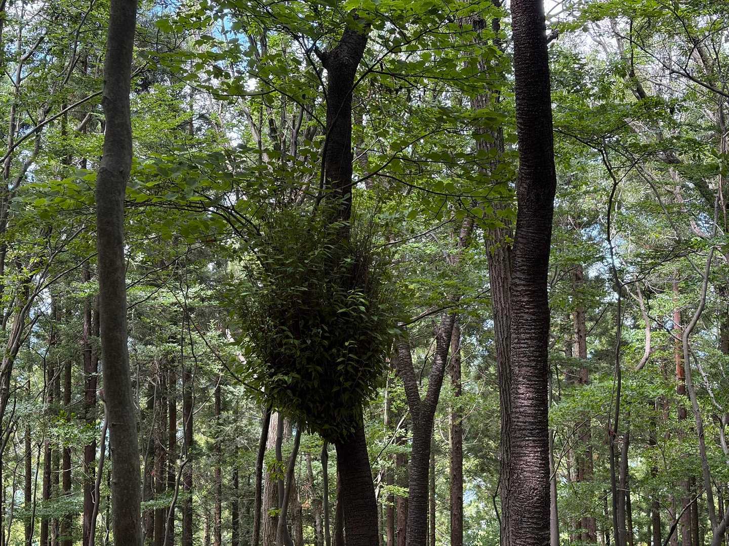 なんでこんな中途半端なとこに
ワサワサ😳サワサワ