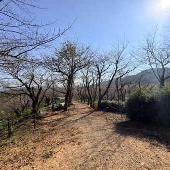 山頂から下ると公園の広場