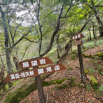 今日初めての分岐看板