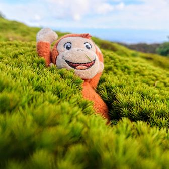 🐵おさるのユージ🐵