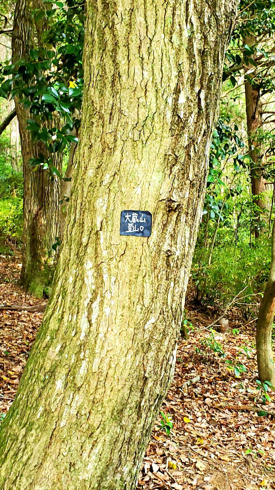 やっと登山口を確認❗
