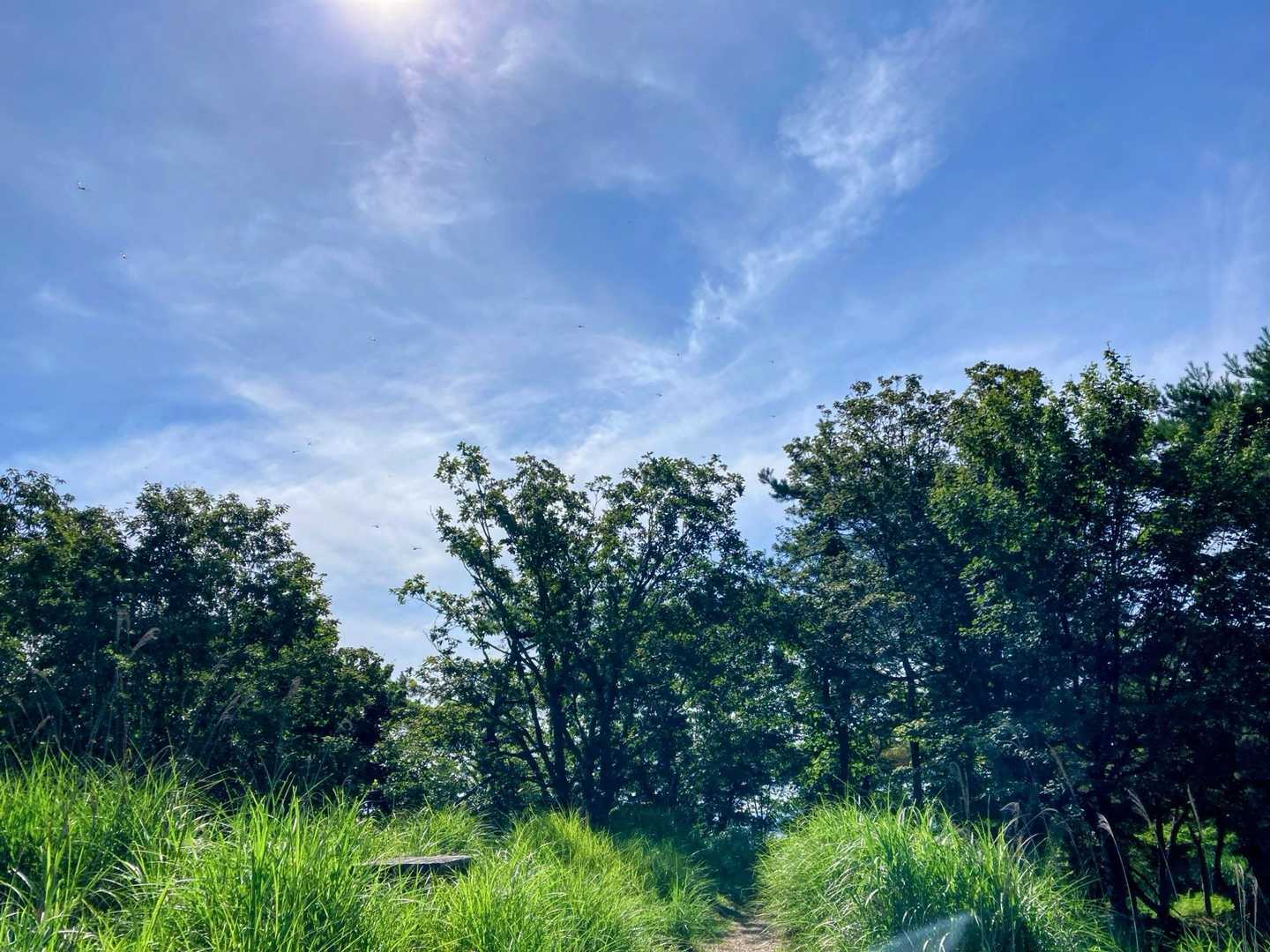 いいお天気☀
気持ちいい
下界は灼熱🥵