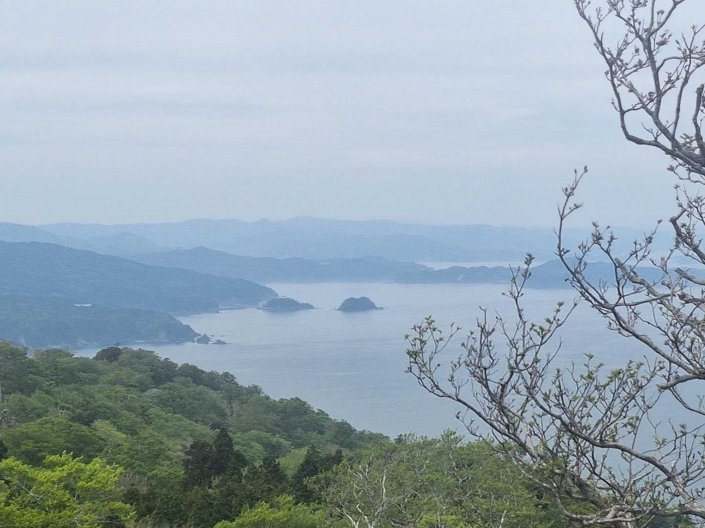 かなりあがってきたよ