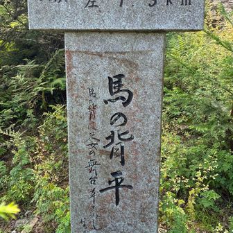 馬の背平。左は距離は長いが楽なルート。右は距離は短いがキツいルート。ダイエット中なので、勿論右へ。