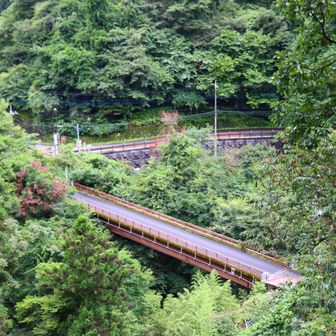 しばらく登って行くと、先ほどの橋が眼下に。