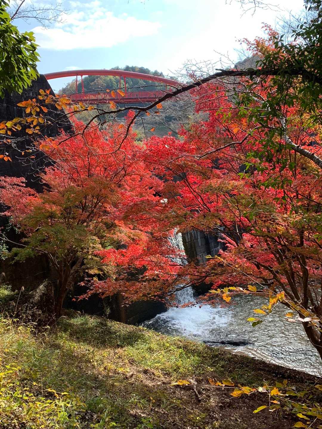 こんな素敵な景色