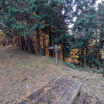 「船原峠」に明るいうちに戻ってきました。
「天城峠」から7時間